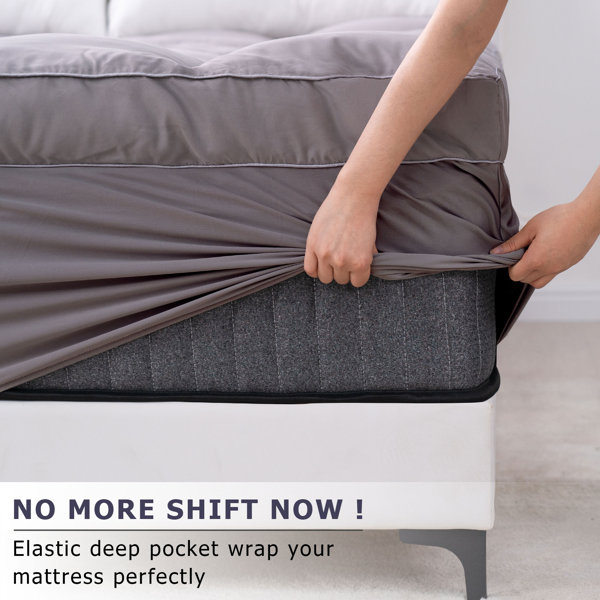 Alwyn Home Slaton 4'' Down Alternative & Reviews Wayfair